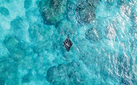 Tropical Glamping Nusa Penida - Private Romantic Seaside Bungalow Diamond Beach